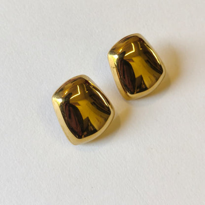 Gold Stainless Steel Earrings